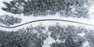 Bird eye’s view!, by Kimon Maritz